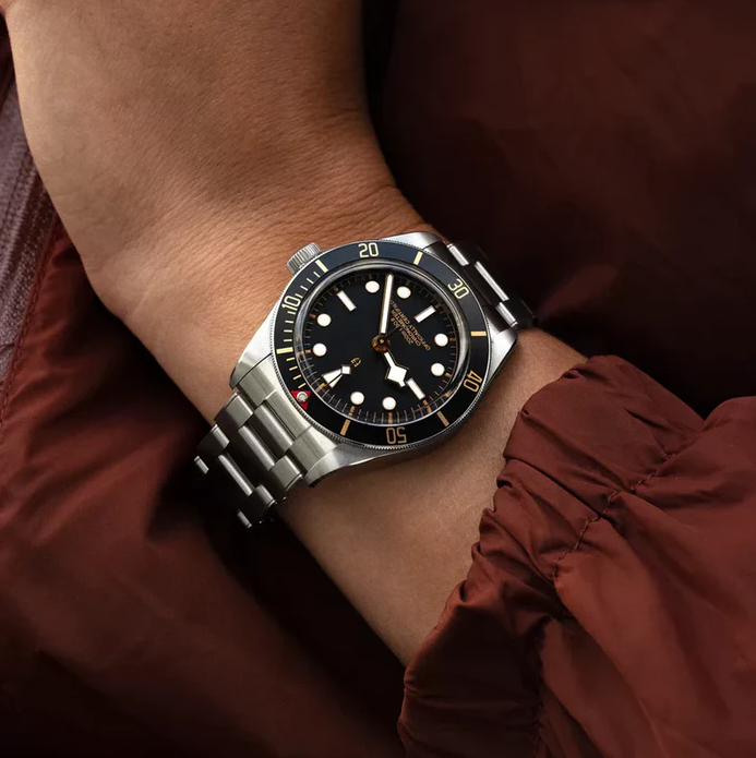 Luxury Watches - Heritage Diver Bronze